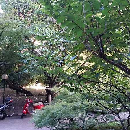 Park Emma *